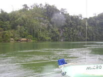 thumb_07Guat-LaCeiba_055.jpg