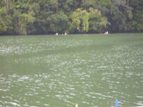 thumb_07Guat-LaCeiba_058.jpg