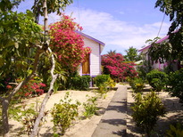 thumb_07Guat-LaCeiba_072.jpg