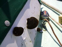thumb_07Guat-LaCeiba_077.jpg