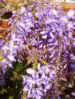 thumb_07lateapril_013.jpg