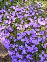 thumb_07lateapril_014.jpg