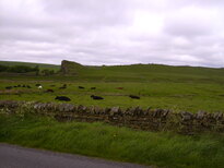 thumb_C2C_020.jpg