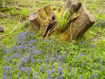 thumb_C2C_024.jpg