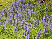 thumb_C2C_026.jpg