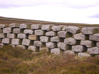 thumb_C2C_031.jpg