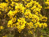 thumb_C2C_033.jpg