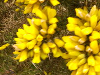 thumb_C2C_034.jpg