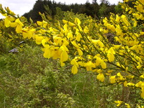 thumb_C2C_036.jpg