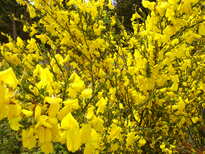 thumb_C2C_037.jpg