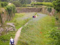 thumb_07_loire_010.jpg