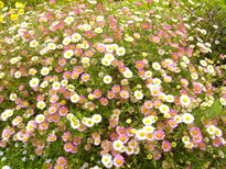 thumb_07_loire_012.jpg