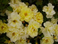 thumb_07_loire_013.jpg