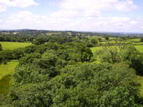 thumb_07c2cd_028.jpg