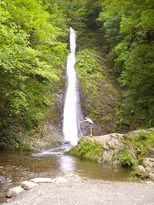 thumb_07c2cd_030.jpg