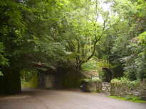 thumb_07c2cd_034.jpg