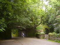 thumb_07c2cd_035.jpg
