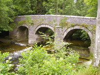 thumb_07c2cd_036.jpg