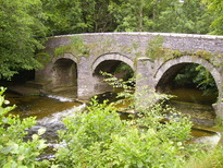 thumb_07c2cd_037.jpg