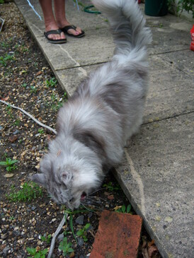 thumb_079briony_004.jpg