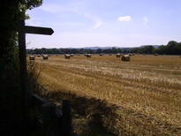thumb_07august_004.jpg