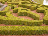 thumb_07august_028.jpg