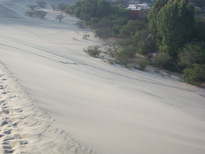 thumb_07lland_013.jpg