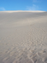 thumb_07lland_042.jpg