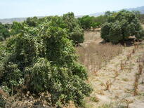 thumb_07lland_049.jpg