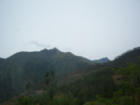 thumb_07lland_068.jpg