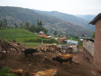 thumb_07lland_076.jpg