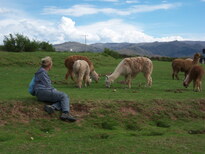 thumb_07lland_112.jpg