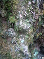 thumb_07lland_166.jpg
