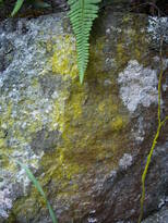 thumb_07lland_168.jpg
