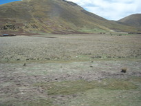thumb_07lland_276.jpg