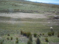 thumb_07lland_280.jpg