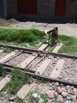 thumb_07lland_311.jpg