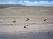 thumb_07lland_367.jpg