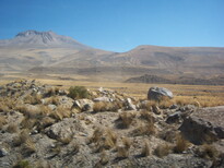 thumb_07lland_374.jpg