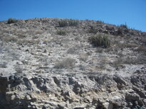 thumb_07lland_378.jpg
