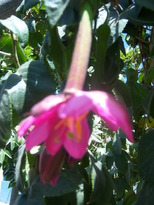 thumb_07lland_405.jpg