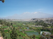 thumb_07lland_407.jpg