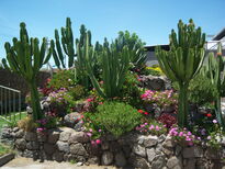 thumb_07lland_425.jpg