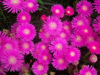 thumb_07lland_473.jpg