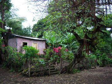 thumb_nic_granada-ometepe_034.jpg
