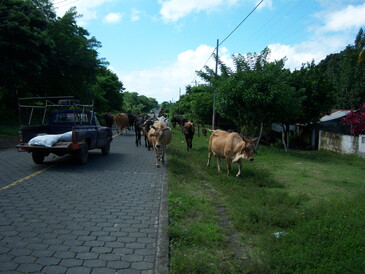 thumb_nic_granada-ometepe_045.jpg