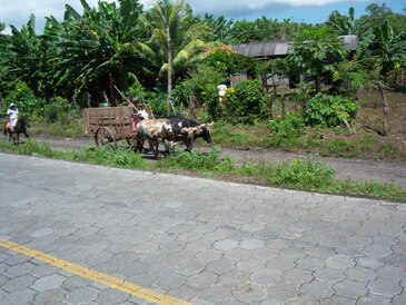 thumb_nic_granada-ometepe_046.jpg