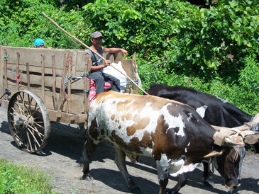 thumb_nic_granada-ometepe_047.jpg