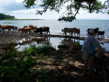 thumb_nic_granada-ometepe_048.jpg