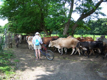 thumb_nic_granada-ometepe_049.jpg
